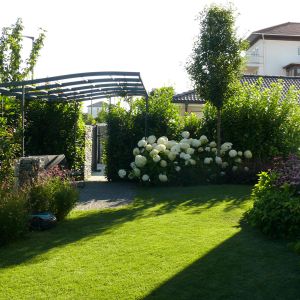 galeria_4