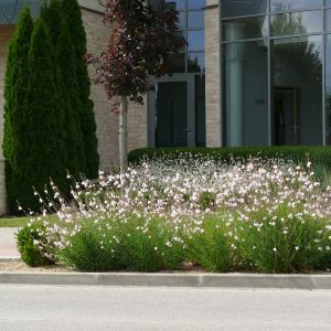 galeria_8